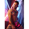 Breedwell Harnais Body Hybred Breedwall Rose